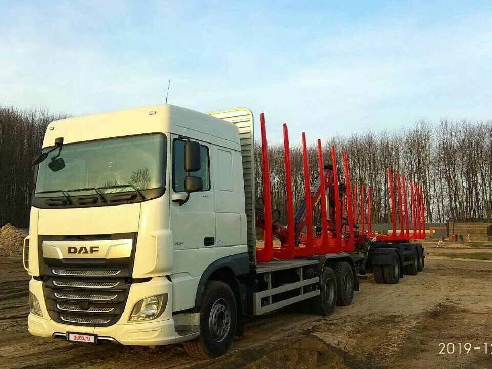 Белорусский 480. Лесовоз DAF XF. Даф 105 лесовоз. DAF 105 С лесовозом. Даф сортиментовоз.