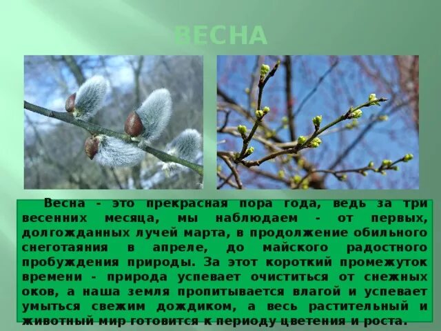 Десять дней до весны краткое содержание. Описание весны. Короткое описание весны.