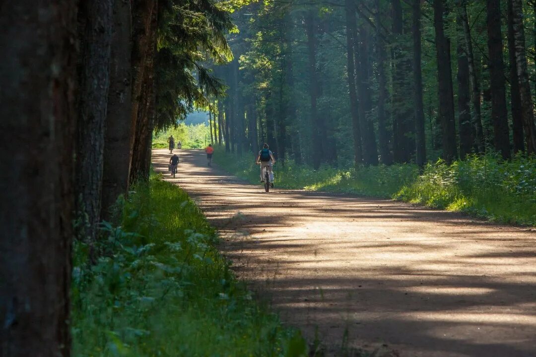 Мещерский парк москва схема. Мещерский парк парковка 2022. Мещерский парк солнцево. Мещерский лес парк. Мещерский парк солнцево.
