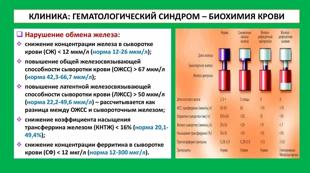 Биохимия крови сывороточное железо норма. Концентрация железа в сыворотке крови норма. Биохимия крови норма ферритин. Норма железа в крови биохимия.