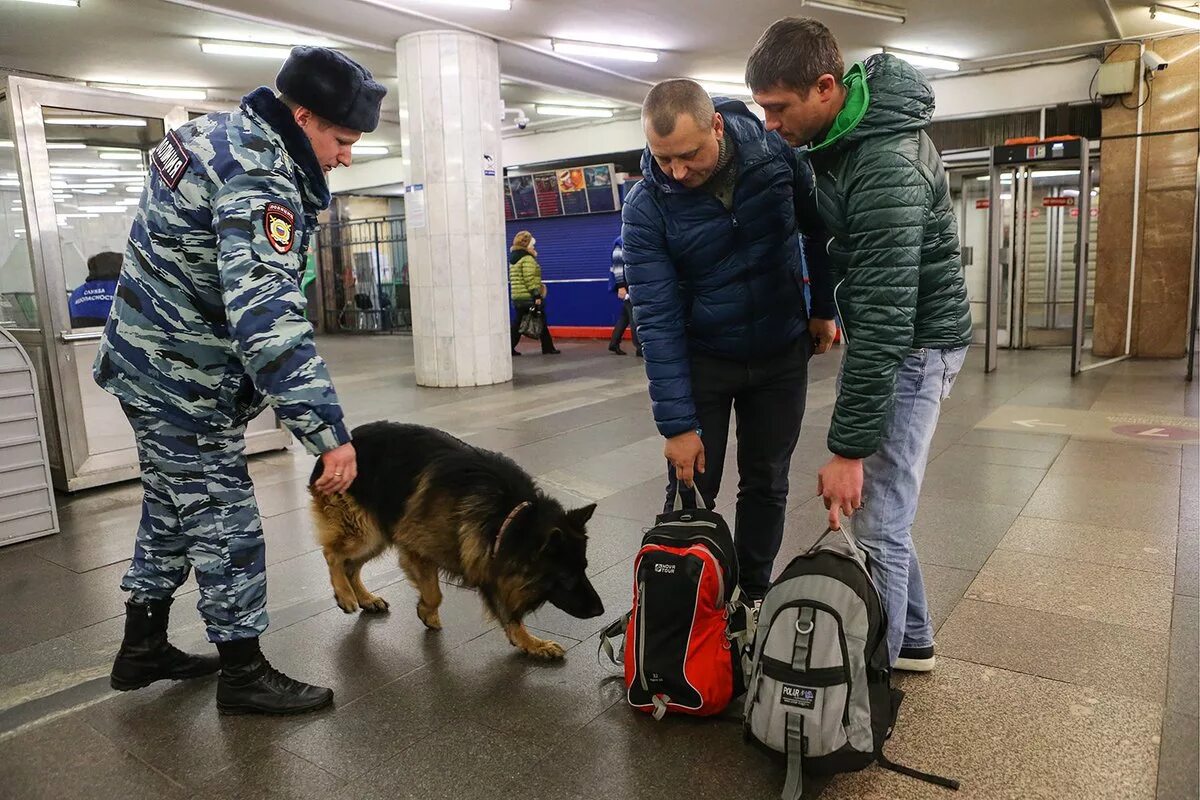 Усилена безопасность москвы. Служебные собаки в аэропорту. Полицейский с собакой. Досмотр вещей. Полицейский с собакой в метро.