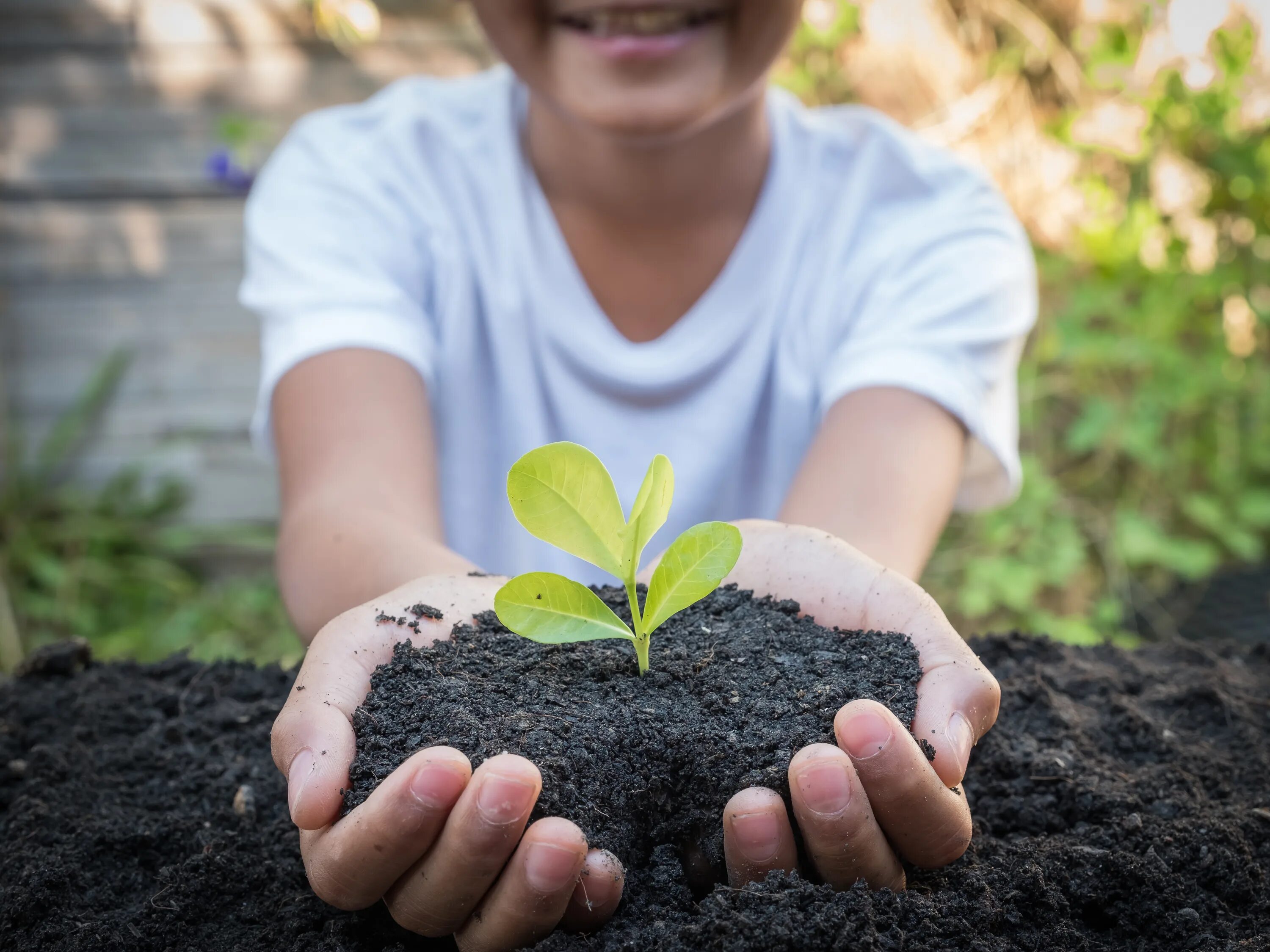 Sustainable practices