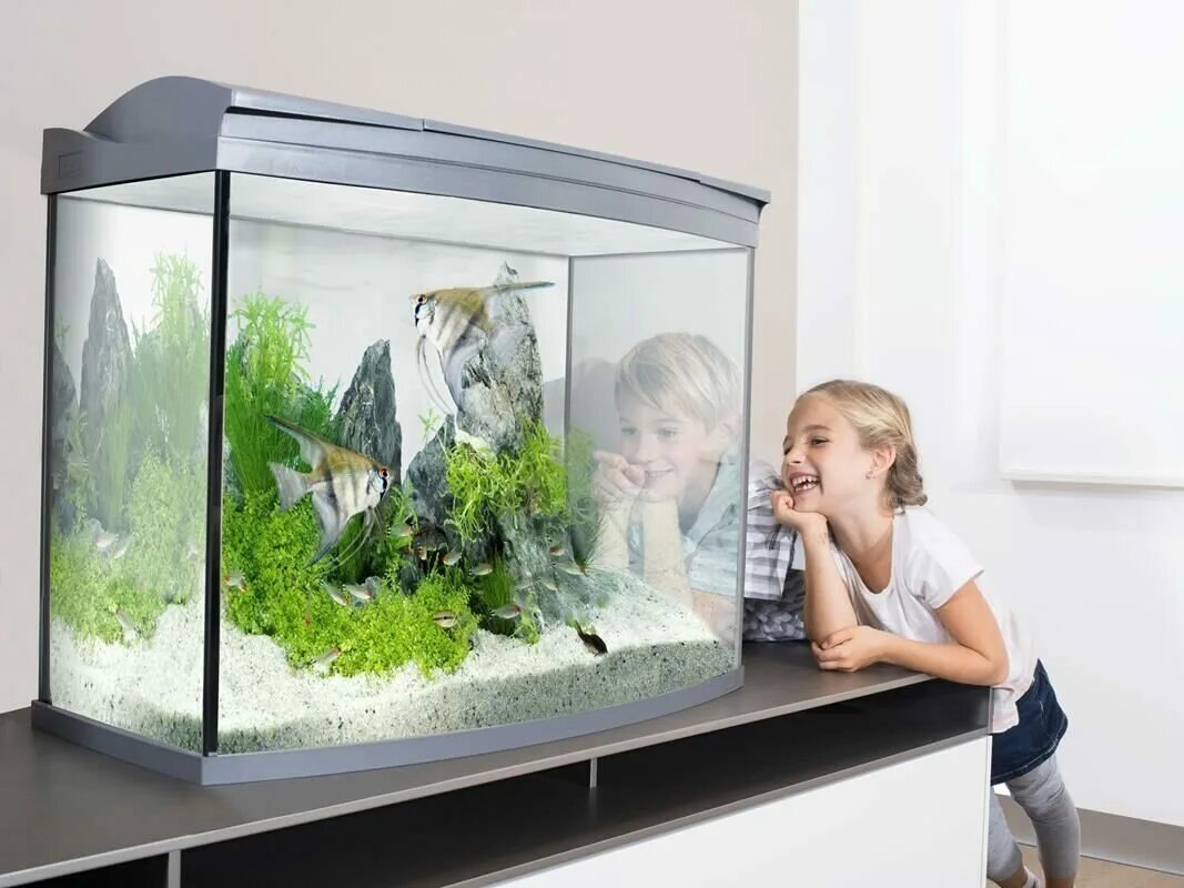 Детский аквариум купить. Aquarium 70x35x35. Маленькие аквариумы Tetra. Небольшой аквариум с рыбками. Маленький аквариум в интерьере.