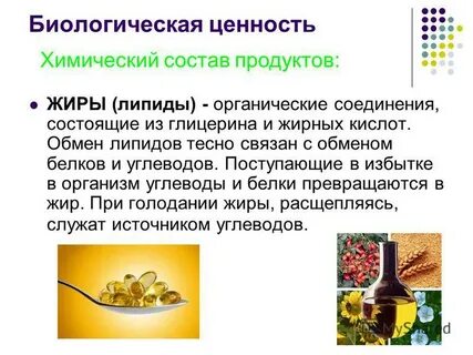 Биологическая роль жиров и углеводов