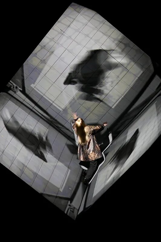 Гамлет кратко. Гамлет национальность. Робер лепаж гамлет коллаж. Людвиг барнай. Бенедикт камбербэтч в театре.