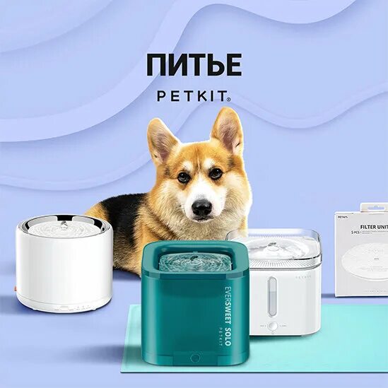 миска petkit. умная кормушка для животных petkit fresh element mini p530. Petkit. Petkit smart planetary feeder. Petkit smart.
