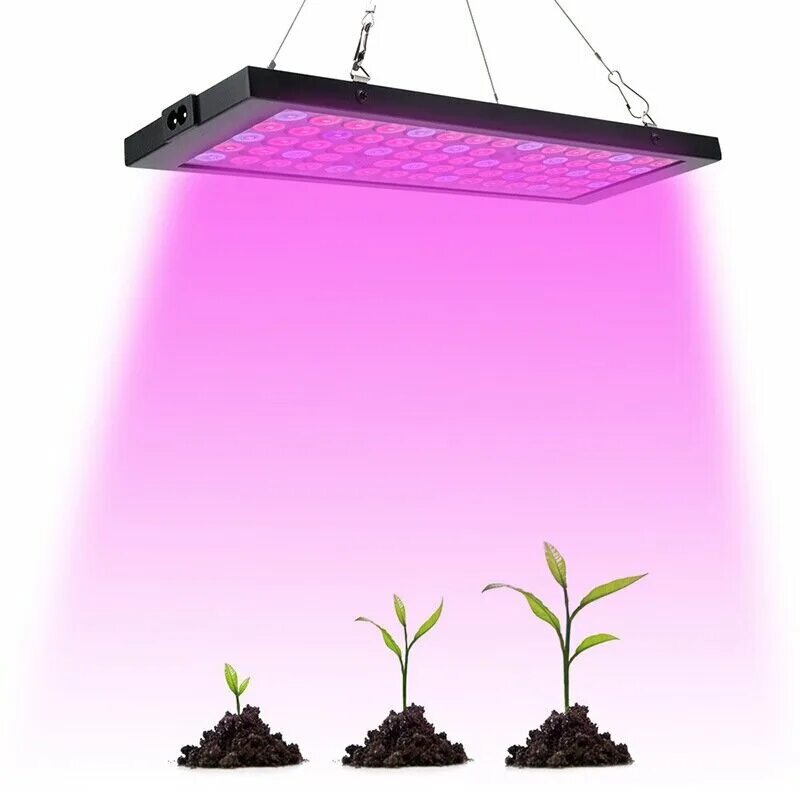 Розовый свет фитолампа. Фитолампа grow Light 40 Вт. Фито светильник для растений. "Полный спектр - 20 ватт". Фитолампа 1000w. Фитолампа led grow Light.