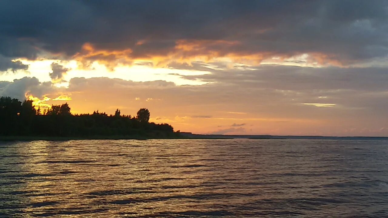 Рыбинское водохранилище. Рыбинское море Молога. Рыбинское водохранилище Пошехонье. Рыбинка Молога. Рыбинское водохранилище есть