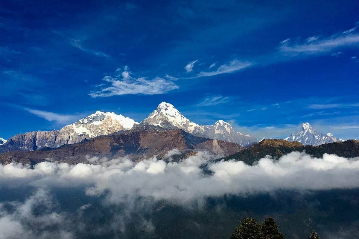 Непал Аннапурна. Гималаи Аннапурна. Панорама Аннапурна. Горы Гималаи панорама. Гималаи цена