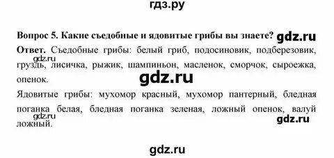 Параграф 20 краткий пересказ