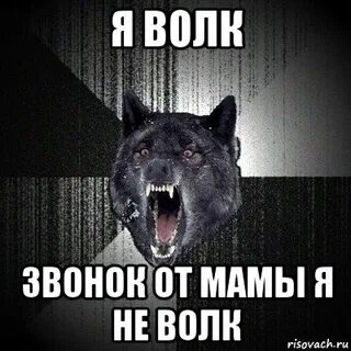 Я волк да мам