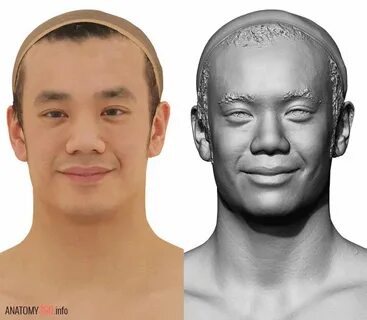 Real head