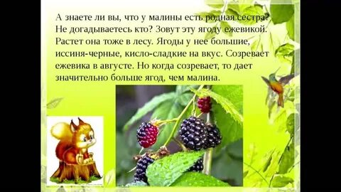 Текст вкус малины