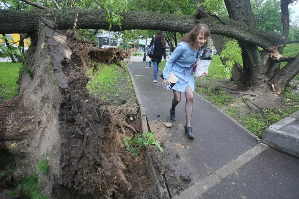 Ураган в москве вчера. Спалили на улице. Ураган в Москве 2017 последствия. Ураган в Москве новости.