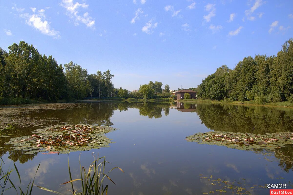 поселок салтыковка золотой пруд. салтыковка харьков. салтыковка пруд. серебряный пруд балашиха. салтыковка пруд.