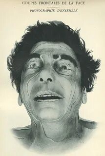 La face
