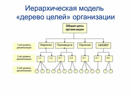 Иерархическая организация природы
