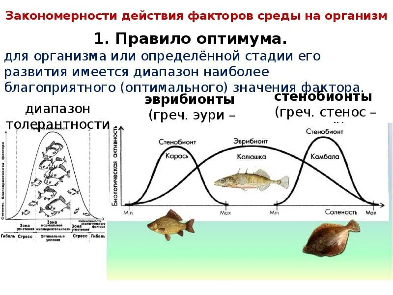 2. Общие закономерности действия факторов среды на организм. . Общие закономерности действия факторов среды на живые организмы.. Закономерности влияния экологических факторов на организмы. Действие экологического фактора на живой организм. Наука о распространении живых организмов