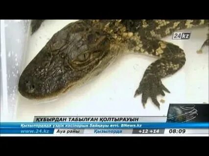 Эротикалық жеке жіберілді