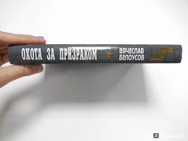 Охота за призраком книга