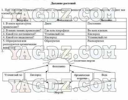 Тест дыхание 6 класс биология