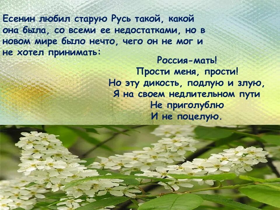 Почему любят есенина. Есенин прости. Есенин прости меня. Стих Есенина прости. Есенин Ой ты Русь моя Родина Кроткая лишь к тебе.