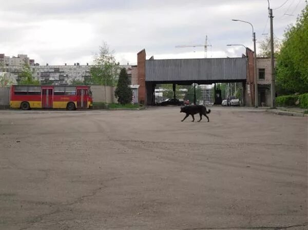 6 автопарк спб