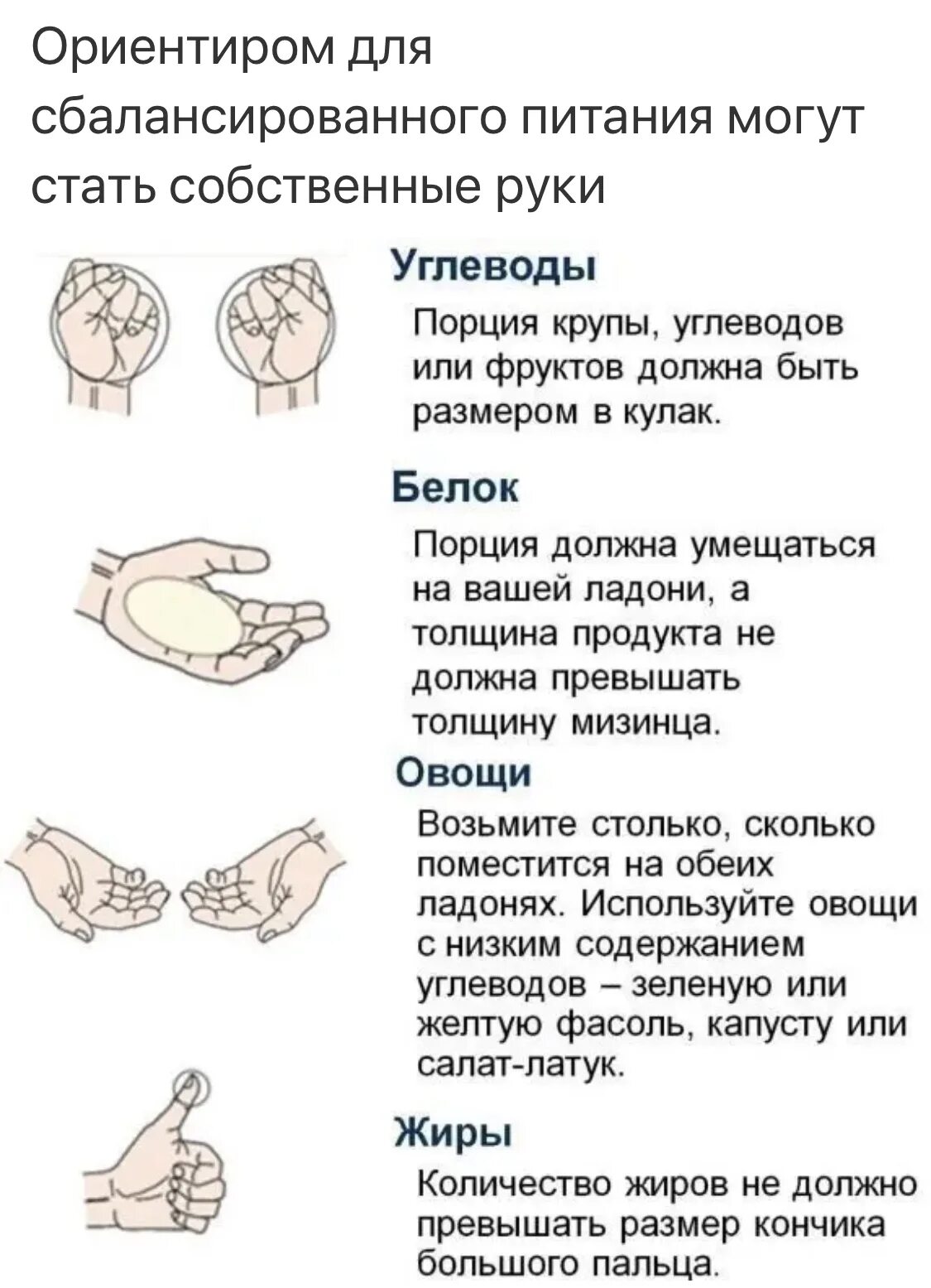 Размер порции при правильном питании для похудения. Размеры порций для правильного питания. Измерение порции по ладони. Размер порции правило ладони. Сколько грамм еды за прием