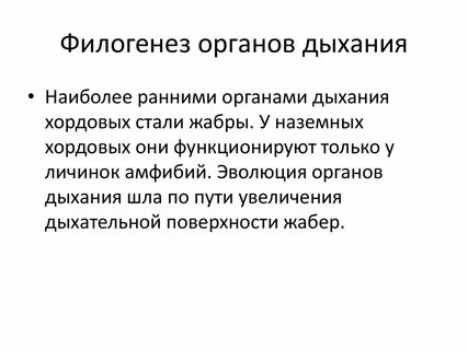Филогенез систем животных