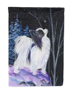 Carolines Treasures SS8383-FLAG-PARENT Starry Night Papillon Flag.