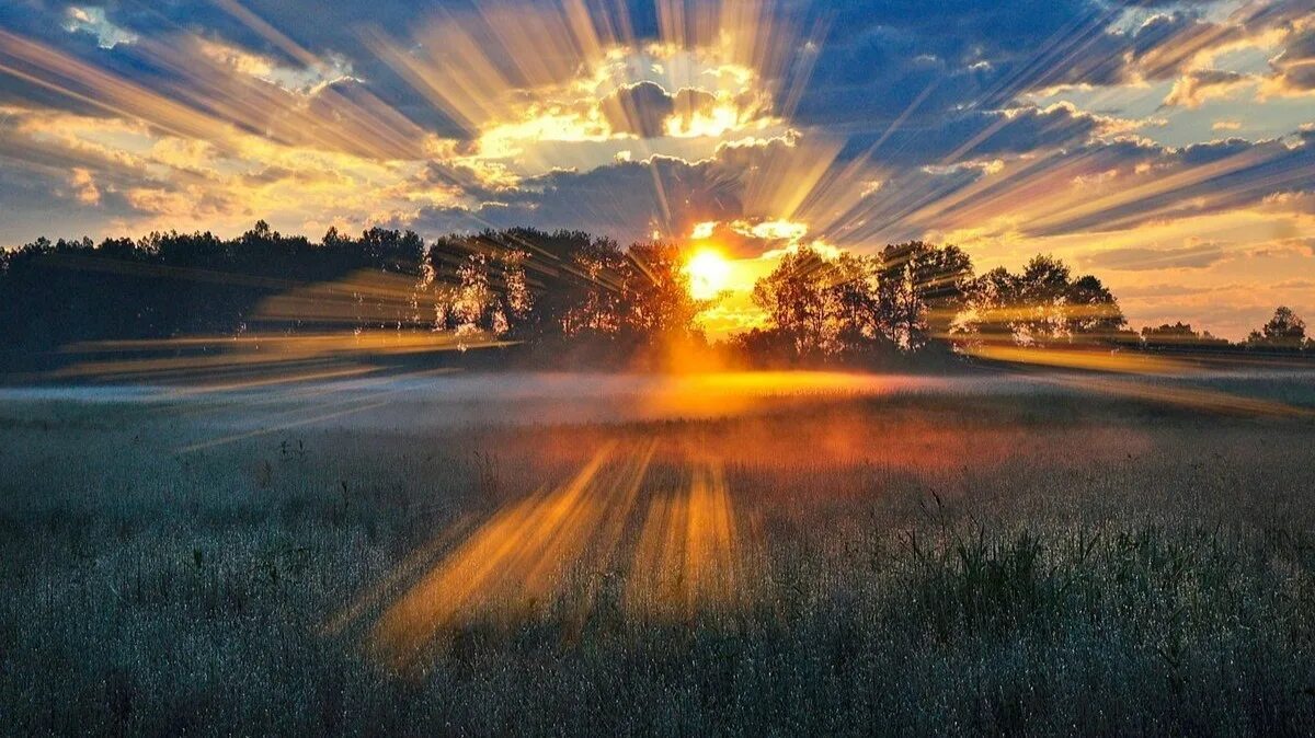 Ранняя заря. Летний пейзаж. Солнечные лучи. Лето солнце. Замирает лета.