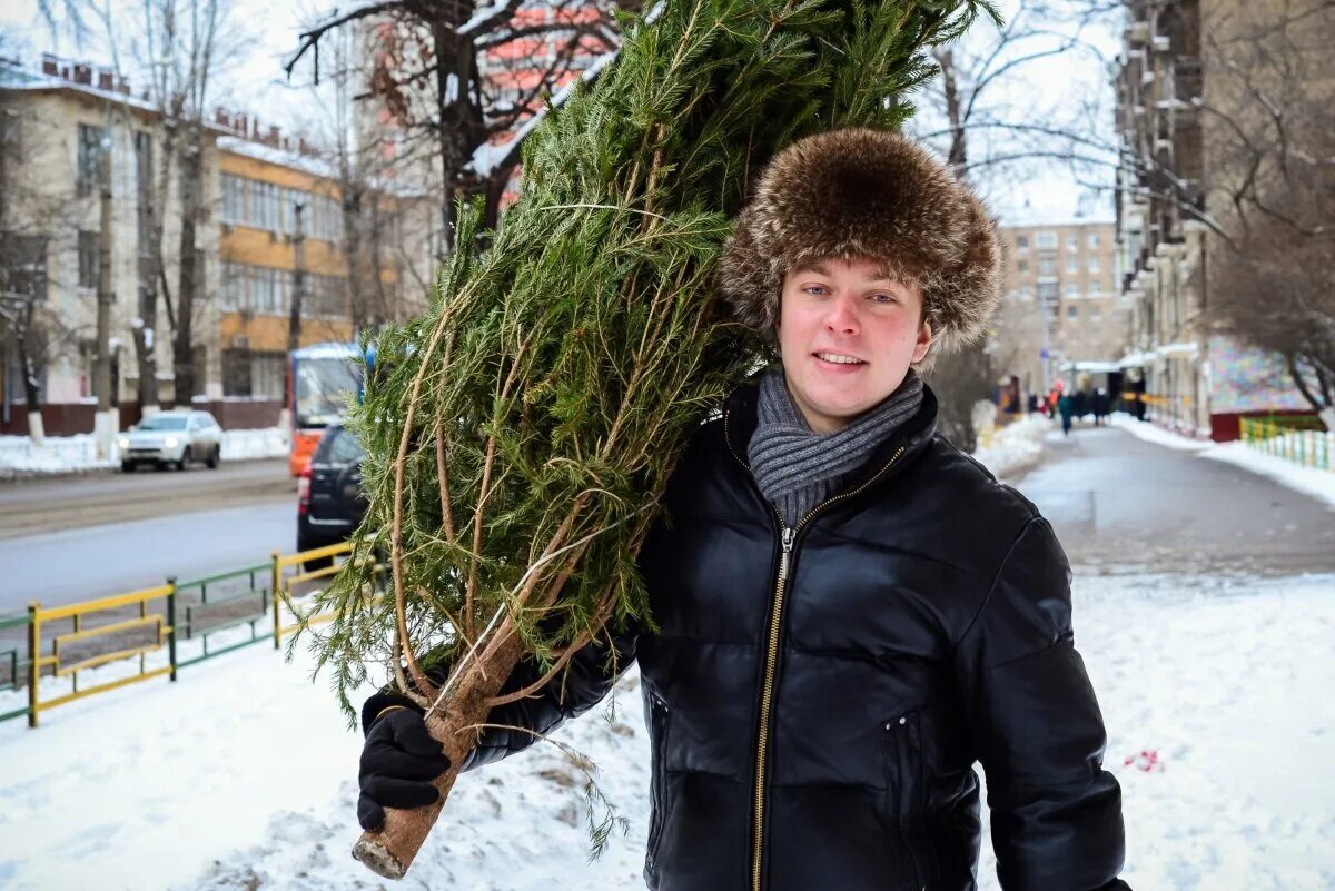 Отец принес домой