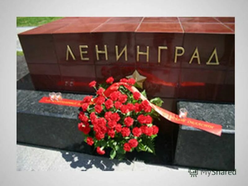 звание город герой ленинград. звезда блокады ленинграда. цветы в честь блокады в ленинграде. звание город герой ленинград. звезда блокады ленинграда.