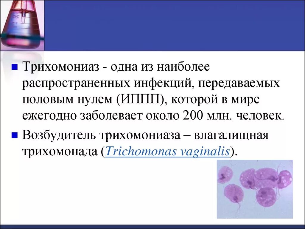 Трихомоноз лечение у мужчин. Трихомонада возбудитель заболевания. Трихомоноз трансмиссивное заболевание. Трихомониаз презентация.