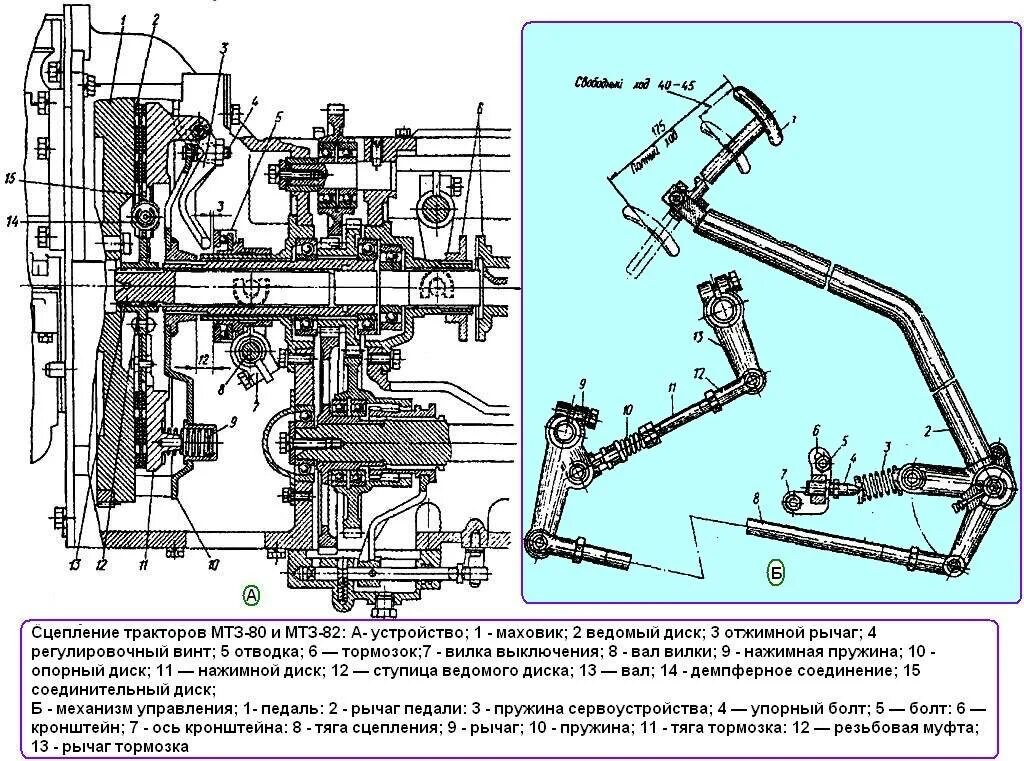 Принцип работы мтз 80. Схема муфты сцепления МТЗ-82. Сцепление трактора МТЗ 82 схема. Сцепление трактора МТЗ 80. Регулировка сцепления трактора МТЗ 80.