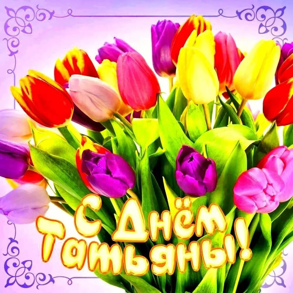 Поздравительные открытки с днем татьяны. Татьянин день открытки. Поздравительные открытки с днем татьяны. Татьянин день открытки с поздравлениями. Поздравления с днём татьяны.