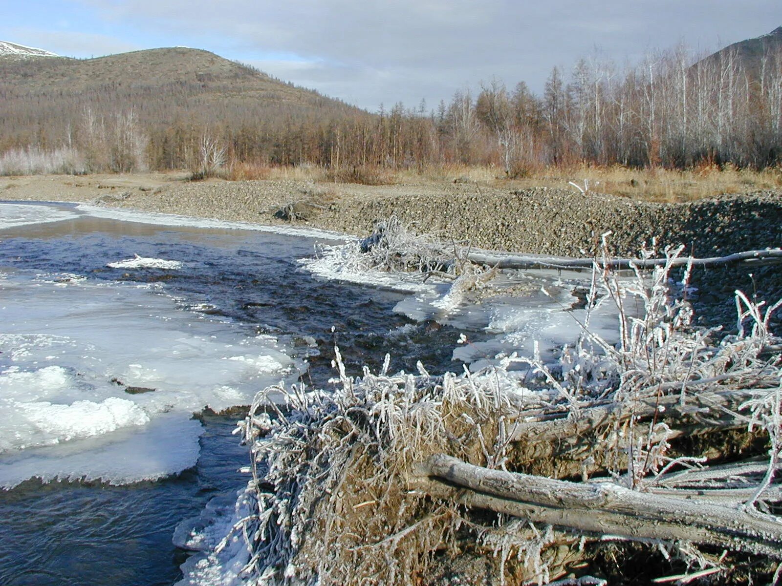 среднеколымск колыма. колыма паводок. река колыма половодье. колыма магаданская область. поселок хасын магаданская область.
