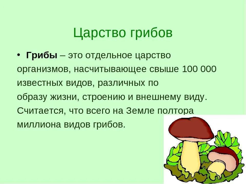 Особенности грибов в природе. Доклад про царство грибов. Царство грибов 5 класс биология доклад. Представители царства грибы 5 класс биология. Представители царства грибов 3 класс.