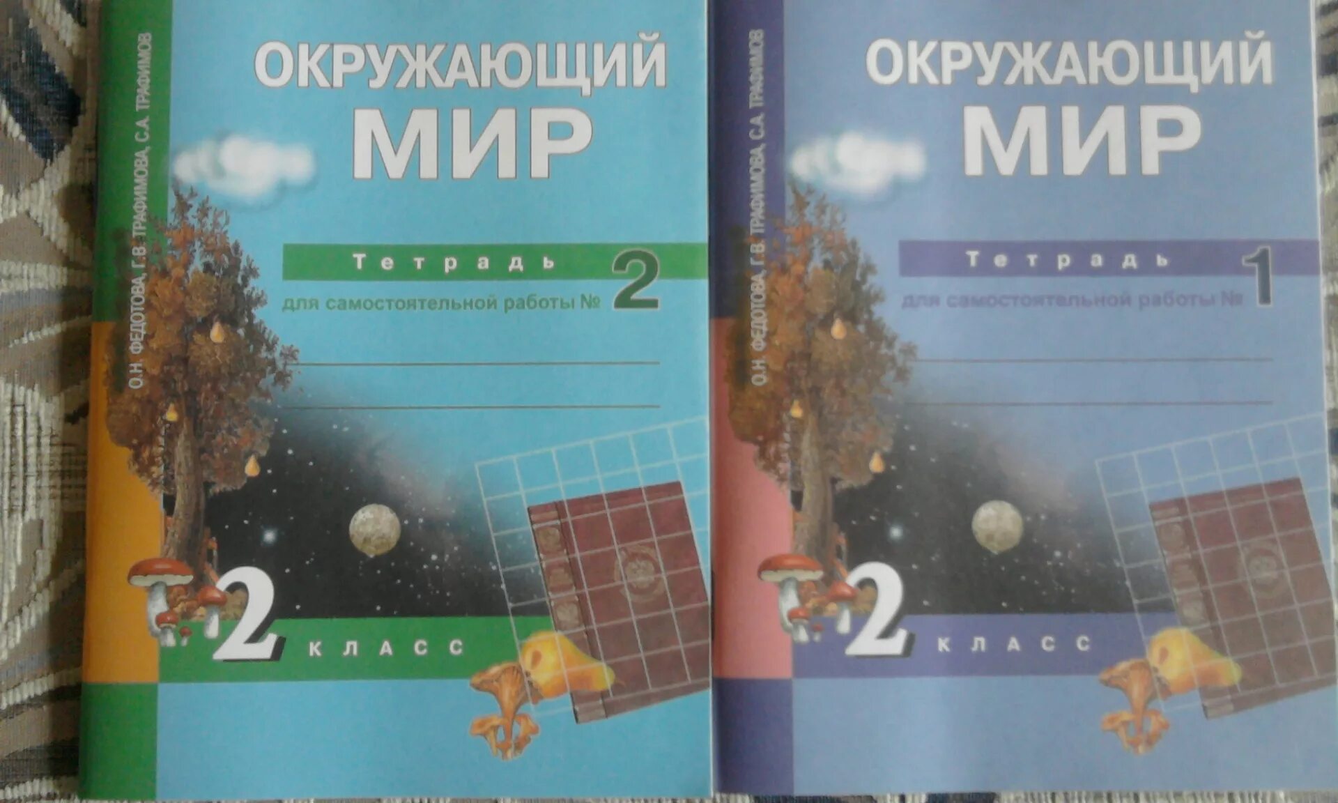 Окр мир федотова. Перспективная начальная школа окружающий мир 2 класс. Перспективная начальная школа учебники 2 класс. Перспективная начальная школа рабочие тетради. Перспективная начальная школа тетради 2 класс.