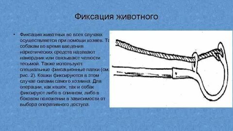 Состояние фиксации