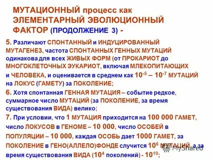 1 мутационный процесс