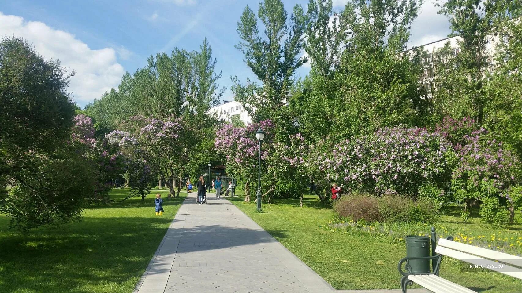 Сады черемушки