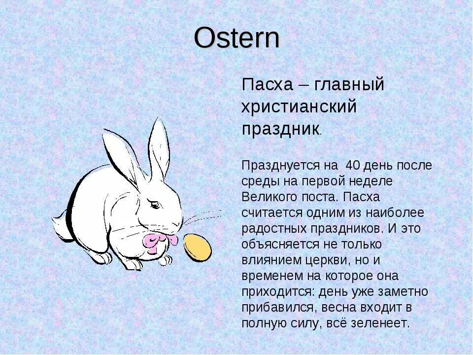 Как на английском заяц. Карточка заяц. Заяц карточка для детей. Заяц по английскому. Карточки с животными для детей.