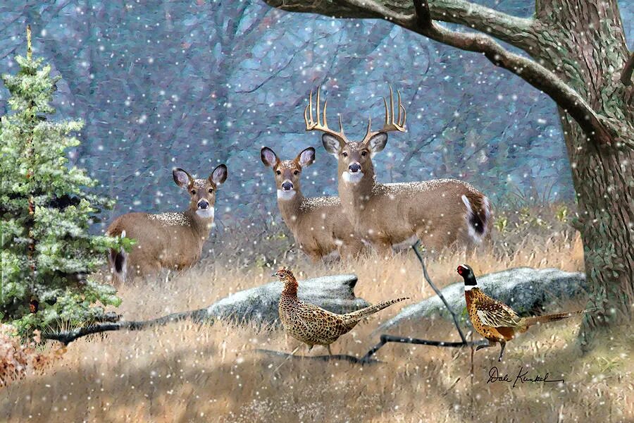 рога "северный олень". охота на оленя. олень с ветвистыми рогами. рогатый олень. рогатый олень.
