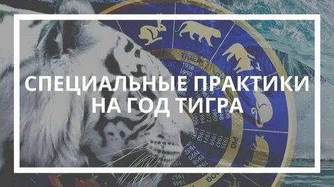 Практик специальный