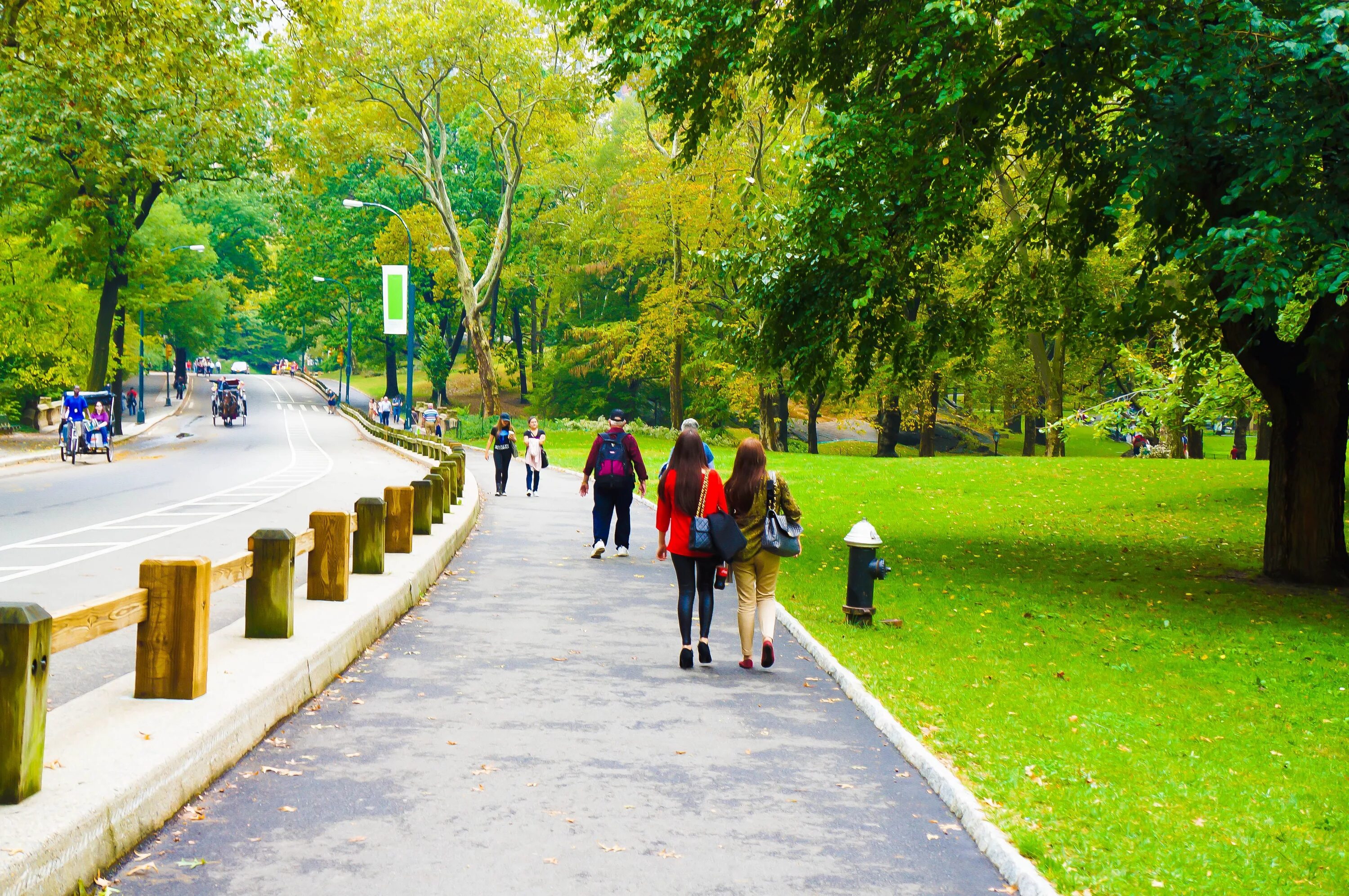 Park in. Прогулка в парке. В парке. Прогулочный парк. Парк с людьми.