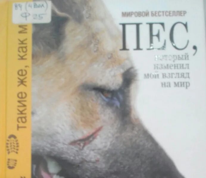 Мой пес книга. Мой пес. Мой пес. Чевостик пес полкан читать. Мой пес.