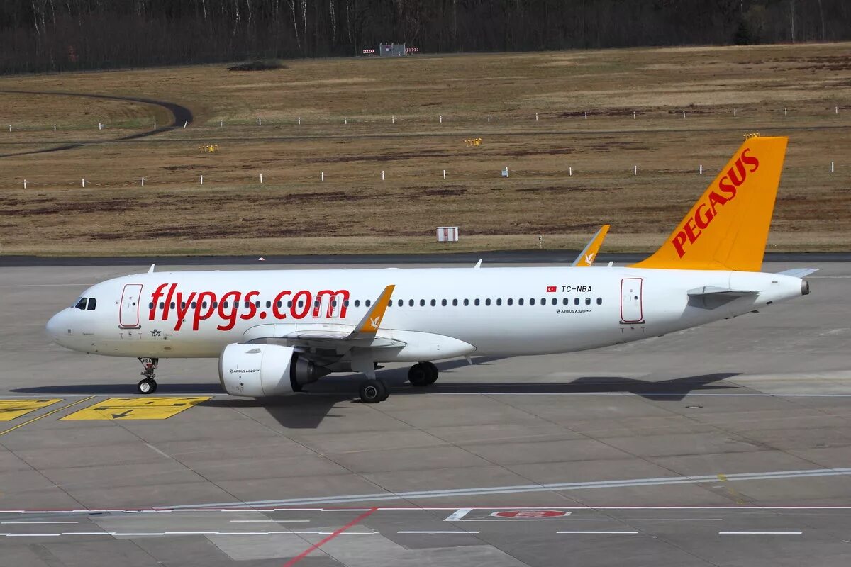 Пегасус эйрлайнс отзывы. Pegasus Airlines Airbus-320. Airbus a320 Пегасус. A320-251n. Аэробус 320-200 Pegasus.