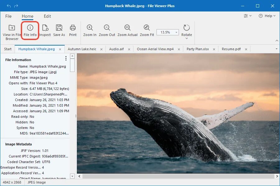 File viewer на русском. File viewer Plus. File viewer Plus 4. Windows file viewer Plus. Cool file viewer.