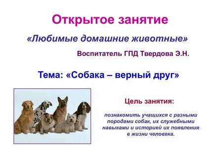 Презентация собака 2 класс